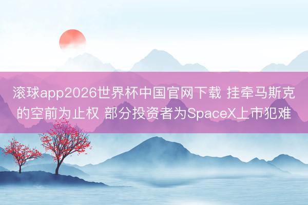 滚球app2026世界杯中国官网下载 挂牵马斯克的空前为止权 部分投资者为SpaceX上市犯难