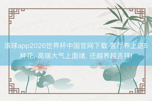 滚球app2026世界杯中国官网下载 客厅养上这5种花, 高端大气上面绪, 还越养越吉祥!