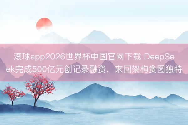 滚球app2026世界杯中国官网下载 DeepSeek完成500亿元创记录融资，来回架构贪图独特