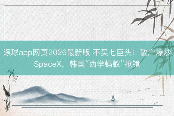 滚球app网页2026最新版 不买七巨头!散户爆炒SpaceX,韩国“西学蚂蚁”抢镜
